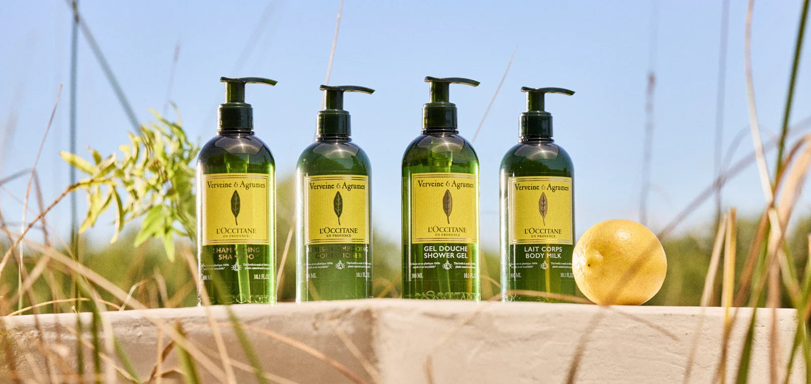 Verbena Cítrica  - L’Occitane