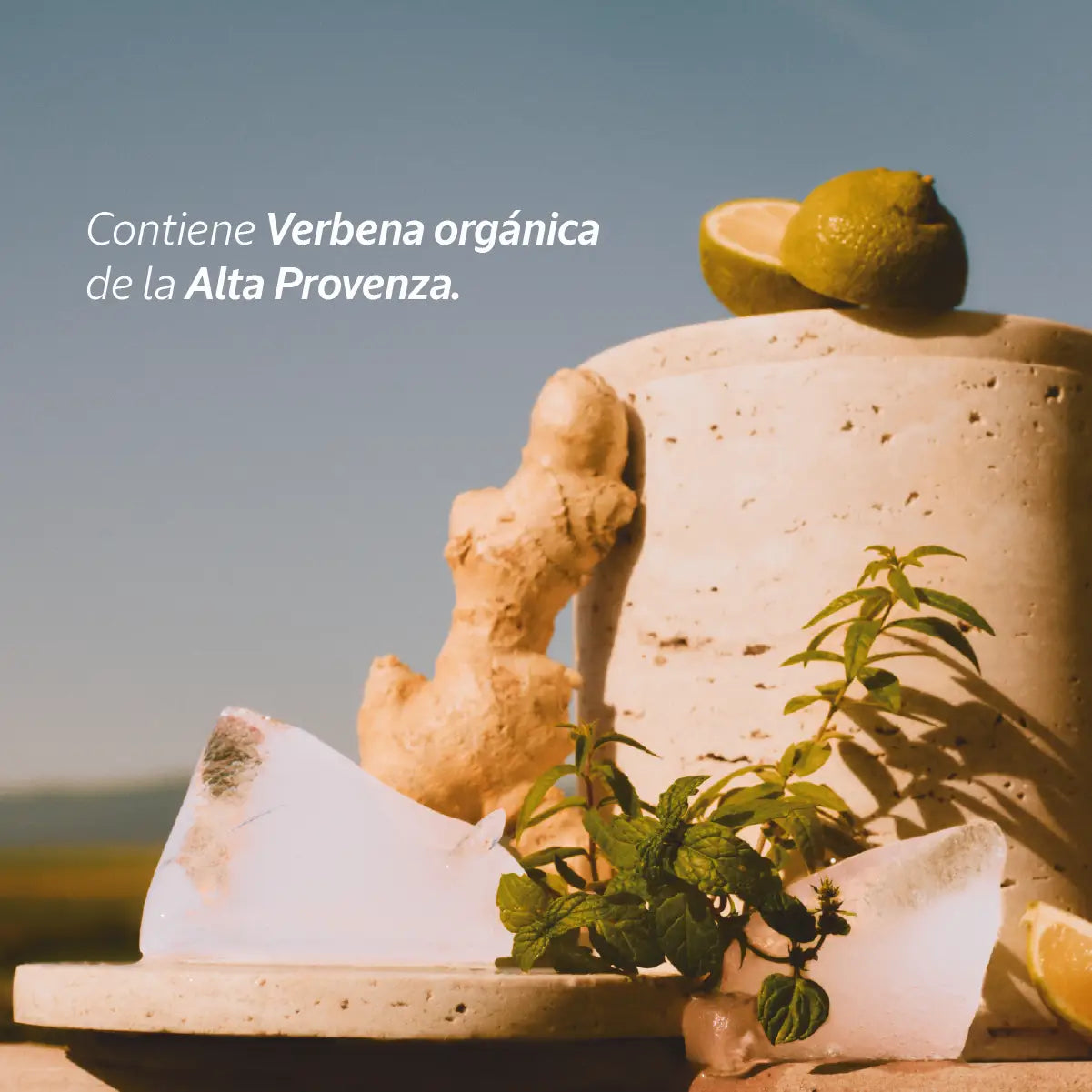 Mini Perfume EDT de Verbena