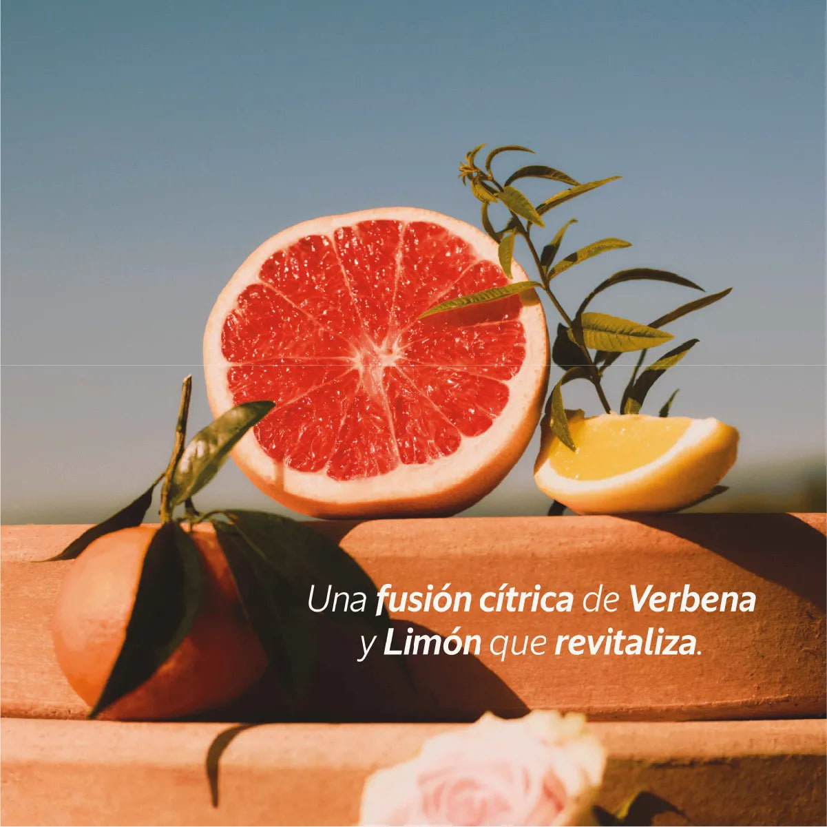 Shampoo Verbena Cítrica 300ml