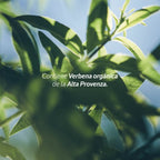 Acondicionador Verbena 400Ml