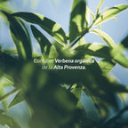 Acondicionador Verbena 50 Ml