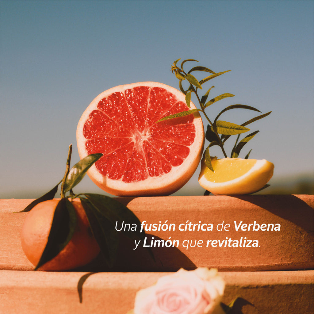 Gel de Ducha Verbena Citrica 300Ml