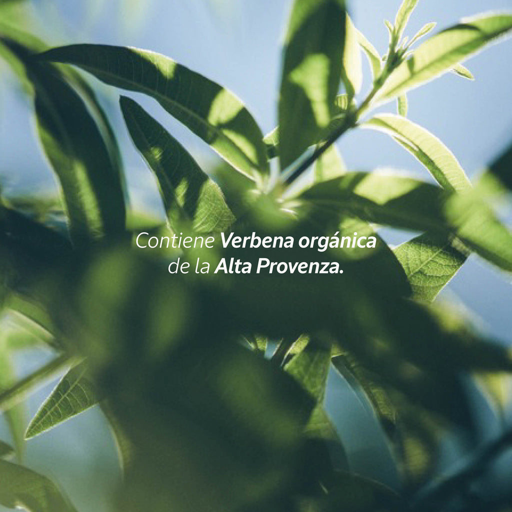 Refill Shampoo Verbena 1Lt