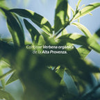 Refill Shampoo Verbena 1Lt