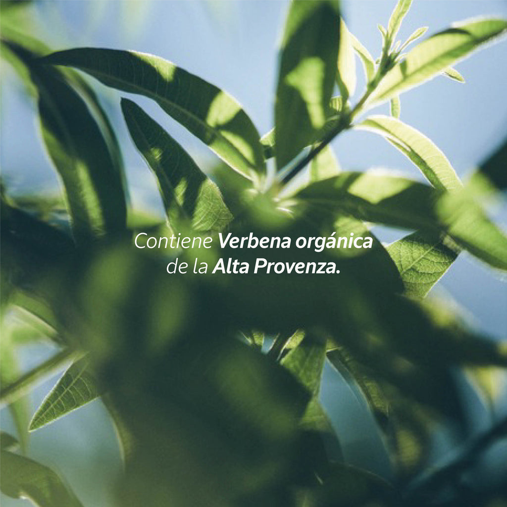 Shampoo Verbena 400Ml