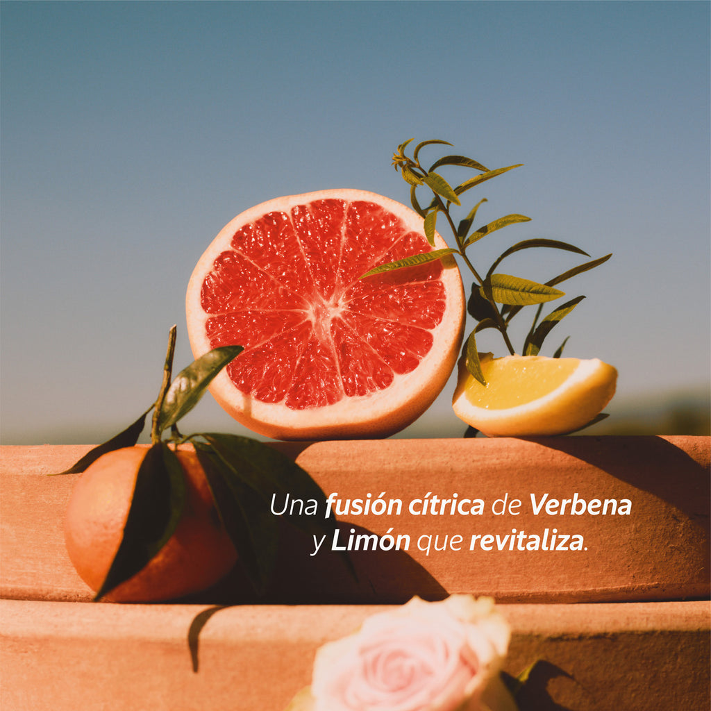 Acondicionador Verbena Citrica 50Ml